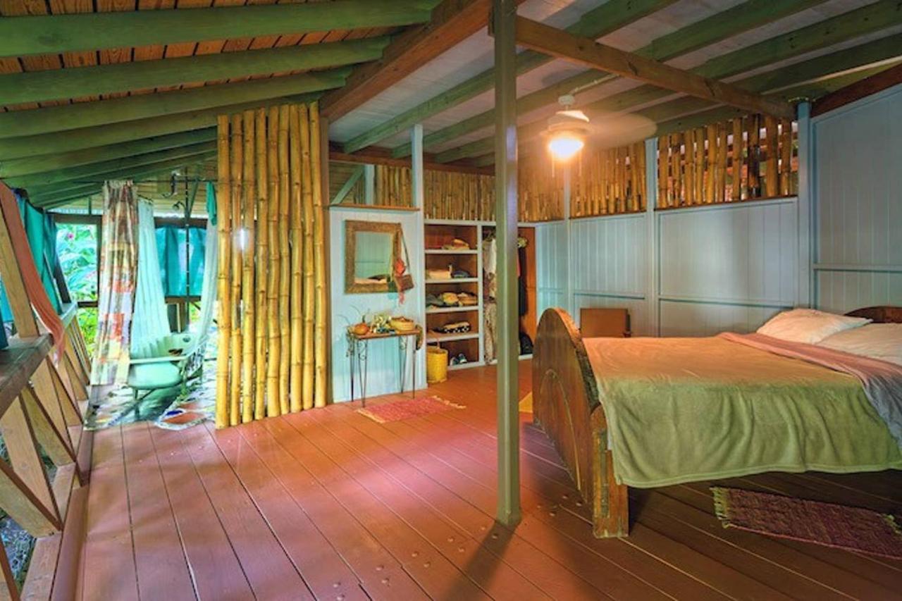 Cocoa Cottage Roseau Eksteriør billede